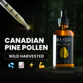 Pine Pollen