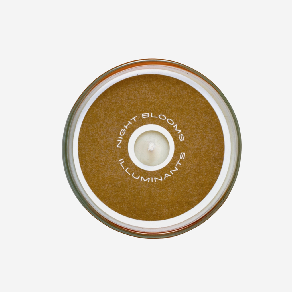 Prickly Wild Rose Candle - 8 oz