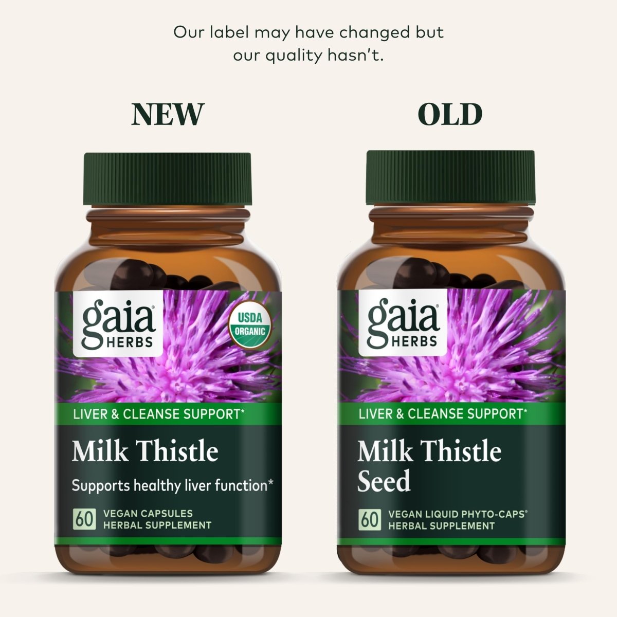Gaia Herbs Milk Thistle - Liver Supplement & Cleanse Support for Maintaining Healthy Liver Function - 120 Vegan Capsules (20-Day Supply)