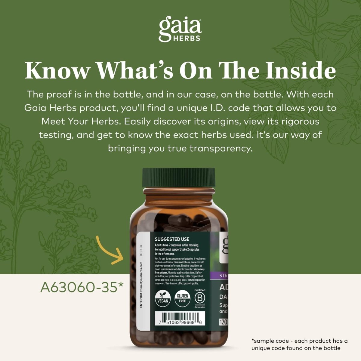 Gaia Herbs Milk Thistle - Liver Supplement & Cleanse Support for Maintaining Healthy Liver Function - 120 Vegan Capsules (20-Day Supply)